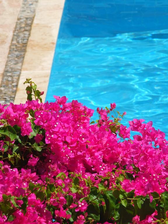 Hotel Villa Berk Fethiye Exterior photo